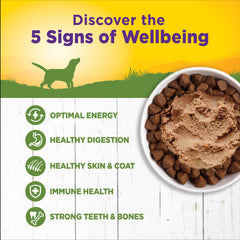 Wellness Complete Health Natural Wet Canned Dog Food, Lamb & Sweet Potato