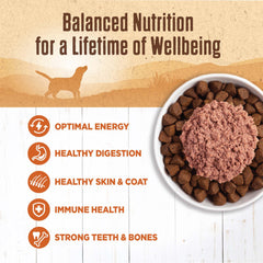 Wellness 95% Turkey Natural Wet Grain Free Canned Dog Food