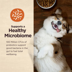 Wellness CORE Digestive Health Dry Dog Food with Wholesome Grains, Highly Digestible, for Dogs with Sensitive Stomachs, Made in USA with Real Protein (Whitefish & Brown Rice)