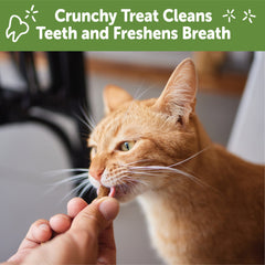 Whimzees Wellness Cat Dental Treats, Natural Chews, Chicken Flavor