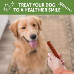 Whimzees Wellness Stix Dog Dental Treats, Natural Chews, Large Size Stick
