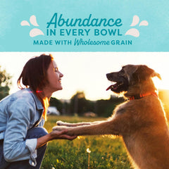 Natural Balance Original Ultra Adult Dry Dog Food with Superfood Blend and Healthy Grains, Chicken & Barley Recipe, 4 Pound (Pack of 1
