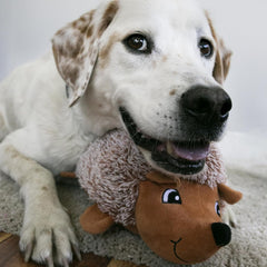 KONG Comfort HedgeHug Puppy Dog Toy – X-Small Assorted