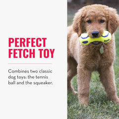 KONG Air Dog Squeaker Dumbbell Dog Toy – Small