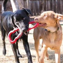 KONG Tug Toy – Medium/Large
