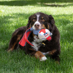 KONG Wubba Zoo Dog Toy – Mandrill Assorted