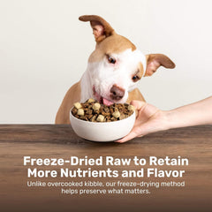 BADLANDS RANCH Superfood Nuggets – Bison & Kale Freeze-Dried Dog Treats (8 oz Bag)