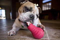 Jolly Pets® Jolly Tuff Toppler – 5" Red