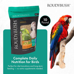 Roudybush Daily Maintenance Bird Food Medium Pellets – 10 lb