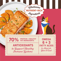 Merrick Purrfect Bistro Cat Real Salmon And Sweet Potato Recipe