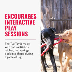 KONG Tug Toy – Medium/Large