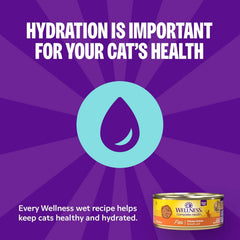 Wellness Complete Health Grain-Free Turkey & Salmon Pate Adult Wet Cat Food – 3 oz Cans (Pack of 24) – 2 Pack