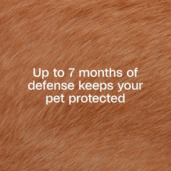 ADAMS Plus Flea & Tick Collar for Dogs – Small (15") & Large (26")