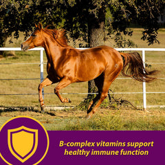 Red Cell® Vitamin-Iron-Mineral Supplement