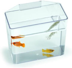 Lee's® Small Convalescent Home Specimen Container 5-1/8 Inch X 2-1/2 Inch X 4-1/2 Inch
