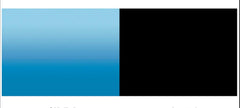 Penn-PLAX Double-Back Roll-A-Scene Aquarium Background – Double Sided Roll – Midnight Sea (Black) / Caribbean Blue – 32” x 50’