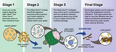 Hikari Aquatic Turtle Probiotic Diet