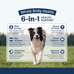 Natural Balance Health Protection Dry Dog Food – Whole Body Health, Easy on Digestion Dog Food Made with Chicken, Brown Rice & Pumpkin for Dogs - 24lbs.
