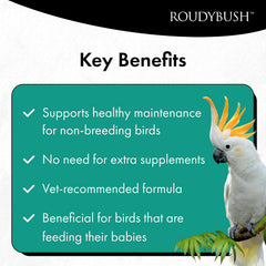 Roudybush Daily Maintenance Bird Food Small Pellets – 10 lb