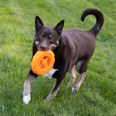KONG Squeakz Wheel Dog Toy – Large Orange