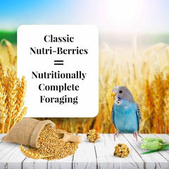 LAFEBER'S Classic Nutri-Berries Pet Bird Food, Made with Non-GMO and Human-Grade Ingredients, 4 lb