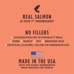 Instinct Be Natural Salmon & Brown Rice Dry Dog Food