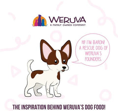 Weruva Meals 'n More Natural Wet Dog Food, Bed & Breakfast Plus Digestive Support (Pack of 12)