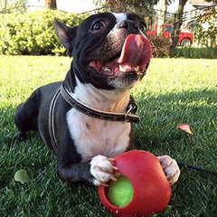 Jolly Pets Teaser Ball Dog Toy