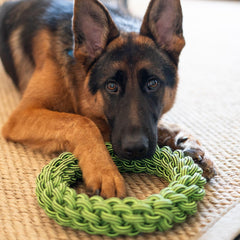 Jolly Pets® Tik Tak Tugzz Rope Dog Toy – O-Shaped