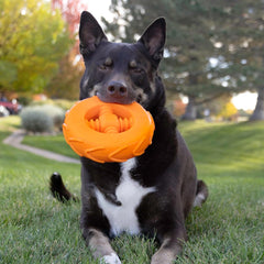 KONG Squeakz Wheel Dog Toy – Large Orange