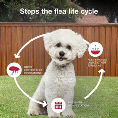 K9 Advantix® II – Monthly Flea, Tick & Mosquito Protection for Dogs