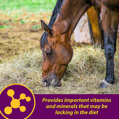 Red Cell® Vitamin-Iron-Mineral Supplement