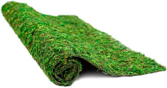 Galápagos CrashPad, Mossy Terrarium Liner, Natural, 18 x 36 in