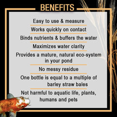 Microbe Lift 32-Ounce Pond Concentrated Extract Barley Straw MLCBSE1L
