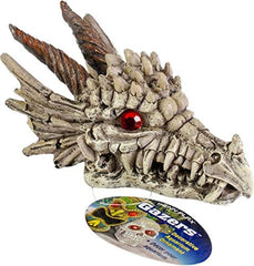 Penn-Plax Deco-Replicas Dragon Skull Gazer Aquarium Decoration – Safe for Freshwater and Saltwater Fish Tanks – Small