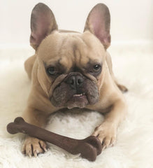 SPOT Bam-Bones Bone - Made with Strong Bamboo Fiber, Durable Long Lasting Dog Chew for Light to Moderate Chewers, Great Toy for Adult Dogs & Teething Puppies Under 25lbs, Bacon Flavor