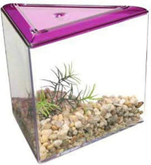 Lee's Triangle Betta Keeper