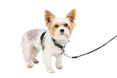 PetSafe 3 in 1 Dog Harness - No Pull Solution for Dogs - Reflective Dog Harness - Front D-Ring Clip Helps Stop Pulling - Comfortable Padded Straps - Top Handle Enhances Control