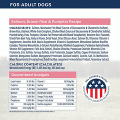 Natural Balance Health Protection Dry Dog Food – Whole Body Health, Easy on Digestion Dog Food Made with Salmon, Brown Rice & Pumpkin for Dogs - 22lbs.