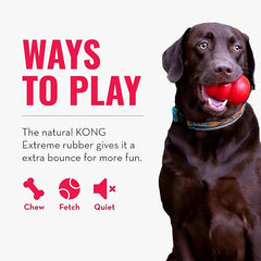 KONG - Extreme Ball - Durable Rubber Dog Toy for Power Chewers, Black