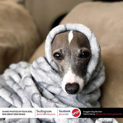 SPOT Snuggler Bones Blanket - Ultra Soft, Machine Washable Dog Blanket for Beds, Furniture Protection, Travel, and Crates