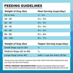 BIXBI Rawbble Freeze Dried Dog Food, Chicken & Salmon Recipe, 26 oz - 94% Meat and Organs, No Fillers - Pantry-Friendly Raw Dog Food for Meal, Treat or Food Topper - USA Made in Small Batches