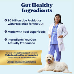 Solid Gold Lamb Dog Food Dry for Adult & Senior Dogs– High Protein Healthy Dog Kibble for Medium & Large Breeds – Whole Grain, Omega 3 & Probiotics for Gut Health & Digestion – Nutrientboost 24-lb