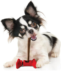 SPOT Treat Holder- Safety Device Bully Stick Holder & Yak Cheese Holder, to Help Prevent Choking