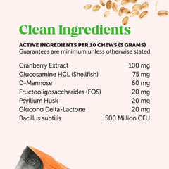 Cat Urinary Tract Health Crunchy & Creamy Chews - Promotes Healthy Digestion & Normal Bladder Function with Cranberry, Antioxidants, & Probiotics - Kidney + Bladder Support Supplement (30 Day Supply)