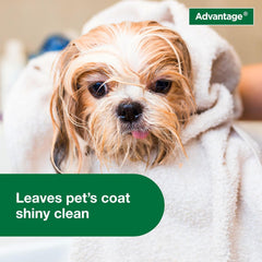 Elanco Advantage Dog Flea & Tick Shampoo for Puppies & Adult Dogs | Kills Fleas & Ticks | 24 oz.