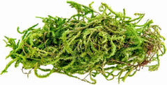 Galápagos (05350) Humid Environment Terrarium Kit – Essential Moss Accessories for Dart Frogs, Iguanas, Chameleons & Reptile Tanks