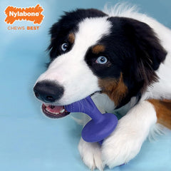 Nylabone Rolling Dog Toy Power Chew Dog Toy for Aggressive Chewers - Spin and Chase Dog Toy - Bacon Flavored Chew Toy for Dogs - Large/Giant (1-Count)