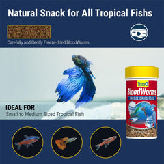 Tetra BloodWorms, Freeze-Dried Food for Freshwater and Saltwater Fish, Seafood (Pack of 1)