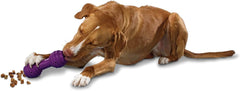 PetSafe Busy Buddy Chuckle Sound Dog Chew Toy - Treat Dispenser, BB-CHK, Purple,Medium/Large